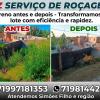 Tz Serviço De Poda E Roçagem