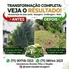 Tz Serviço De Poda E Roçagem