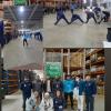 Ginastica laboral