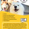Escola E Aí Dog