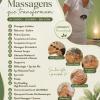 Alternativa Z Massoterapia
