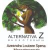 Alternativa Z Massoterapia