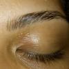 Brow lamination