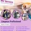 Mv Service