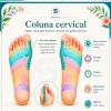 Reflexologia podal,