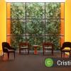 Cristiane