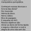 Terapeuta Holístico