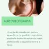 Auriculoterapia