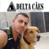 Delta Cães