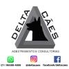 Delta Cães