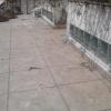 Edivan