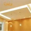 Lince  Dry Wall  Steel Frame