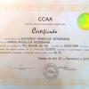 Certificado de conclusão completa de curso de Inglês