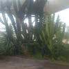 Fjs Jardinagem E Paisagismo E Piscinas