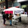 Trabalhando como Educadora/Comunicadora em Ação Pública na Rua XV de Novembro