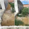 Limpeza de laterais de muros 