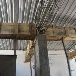 Joao Rui Cardoso Joao Rui Cardoso