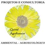 Quintal Agroflorescer Quintal Agroflorescer