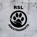 Bom Cão Adestramento Bom Cão Adestramento