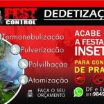 Pest Control Dedetização