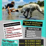 Harmoniacomcaes Adestrador Hotelzinho Maceio Paripueira Harmoniacomcaes Adestrador Hotelzinho Maceio Paripueira