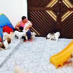 Cantinho Pet Hospedagem Familiar Cantinho Pet Hospedagem Familiar