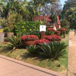 Tr Limpeza E Jardim Tr Limpeza E Jardim