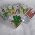 Jani Terapeuta Holística Jani Terapeuta Holística