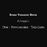 Bruno Venancio Marin