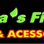 Folhas Films Som E Acessórios