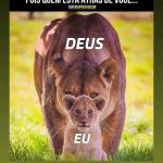 Fernades Reformas É Acabamentos Fernades Reformas É Acabamentos
