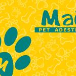 Pet Adestre Pet Adestre