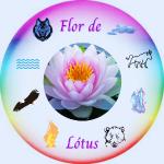Psicanalista E Terapeuta Transpessoal Terapeuta Deiji Psicanalista E Terapeuta Transpessoal Terapeuta Deiji