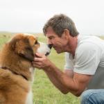 Gdigitaisdog Gdigitaisdog