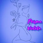 Prisma Violeta