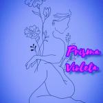 Prisma Violeta Prisma Violeta
