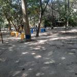 Lvs Jardineiro Lvs Jardineiro