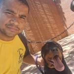 Adestra Walker Dog Adestrador E Passeador De Cães Adestra Walker Dog Adestrador E Passeador De Cães
