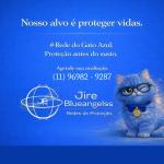 Jire Blueangelss Redes De Proteção E Estruturas Metálicas Ltda