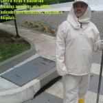 Marcelo Lima Marcelo Lima