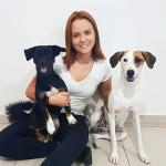 Giovana Chagas Adestramento Canino Giovana Chagas Adestramento Canino