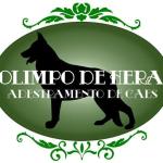 Ivys Olimpus