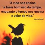 Darliane Apolinario Da Silva Darliane Apolinario Da Silva