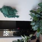 José Ailton Da Silva José Ailton Da Silva