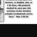 José Carlos Martins José Carlos Martins