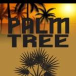 Palmeira Empreiteira