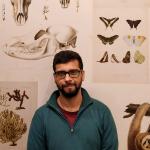 Fernando Heberson Menezes Fernando Heberson Menezes