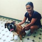 Passeador De Cão Passeador De Cão