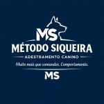 Carlos Alessandro Siqueira