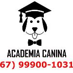 Academia Canina Academia Canina
